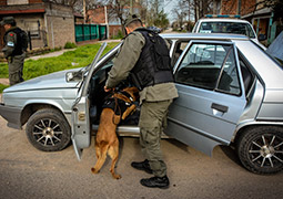 Operativos de Gendarmería en Guernica: encuentran droga y secuestran vehículo robado