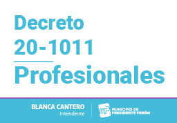 Decreto 20-1011 - Profesionales