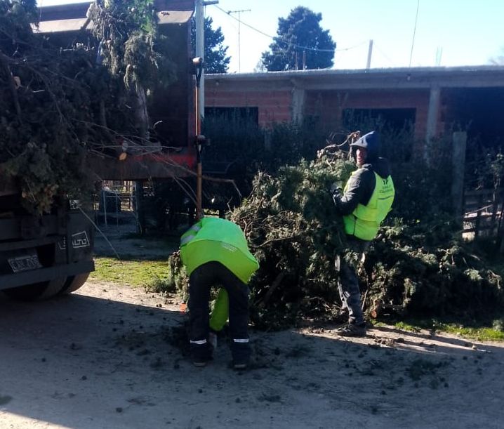 #SecretaríaEconomíaPopular / EL MUNICIPIO REFUERZA LA LIMPIEZA EN GUERNICA Y LOS BARRIOS